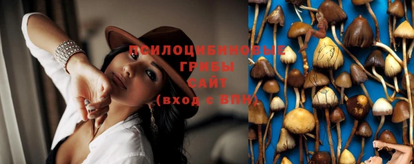 бошки Корсаков