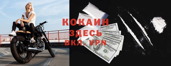 PSILOCYBIN Костерёво