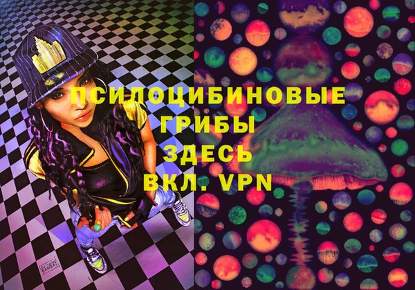 PSILOCYBIN Костерёво