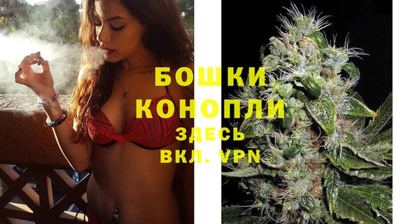 бошки Корсаков