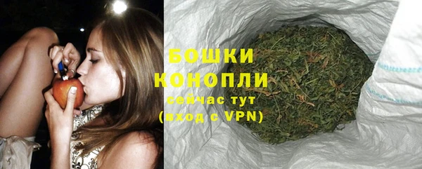 бошки Корсаков