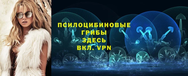 PSILOCYBIN Костерёво