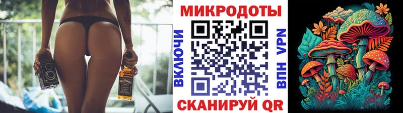 купить наркотик  Самара  Галлюциногенные грибы Cubensis 