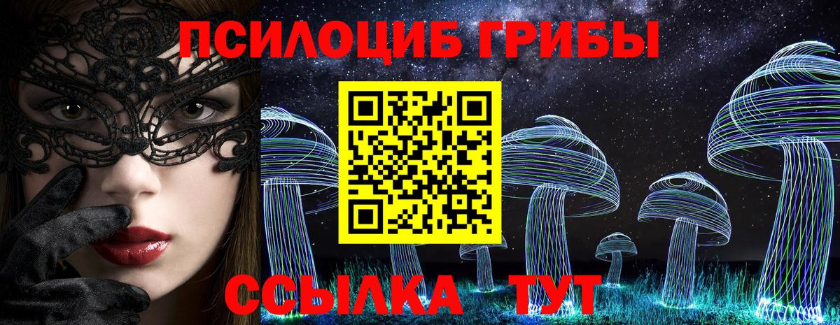 Галлюциногенные грибы Psilocybe Самара