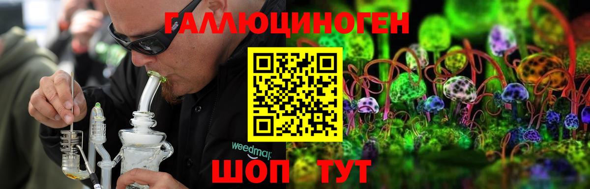 Самара  Псилоцибиновые грибы мухоморы  Галлюциногенные грибы Psilocybe  Вход с VPN 